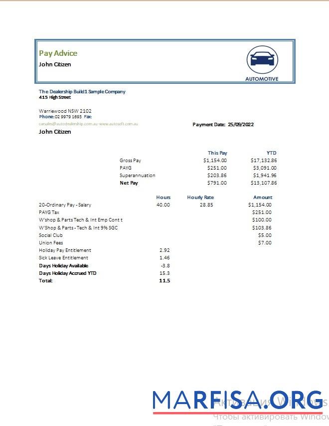 Blank Automotive company pay advise download for verification